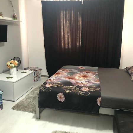 Garsoniera Aleea Trandafirilor Apartment Baile Herculane Bagian luar foto