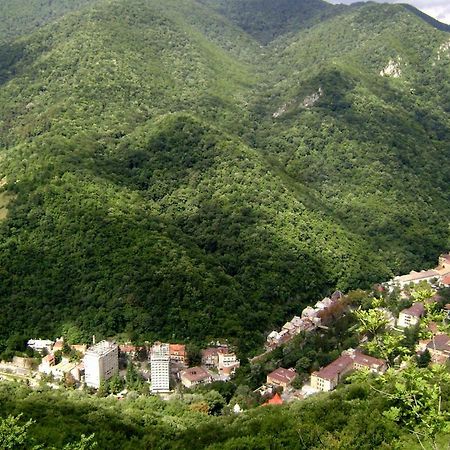 Garsoniera Aleea Trandafirilor Apartment Baile Herculane Bagian luar foto