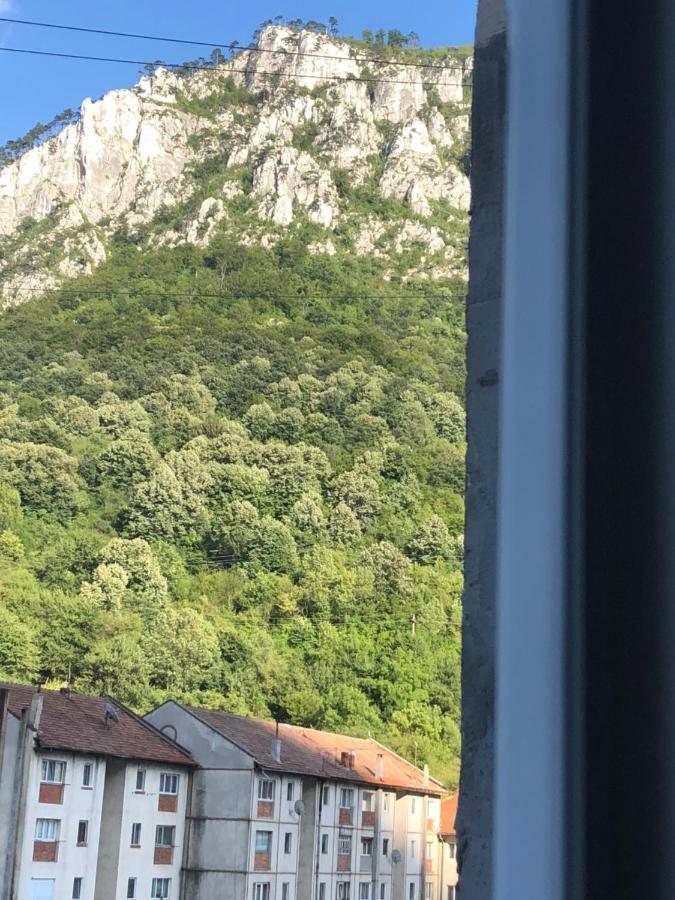 Garsoniera Aleea Trandafirilor Apartment Baile Herculane Bagian luar foto