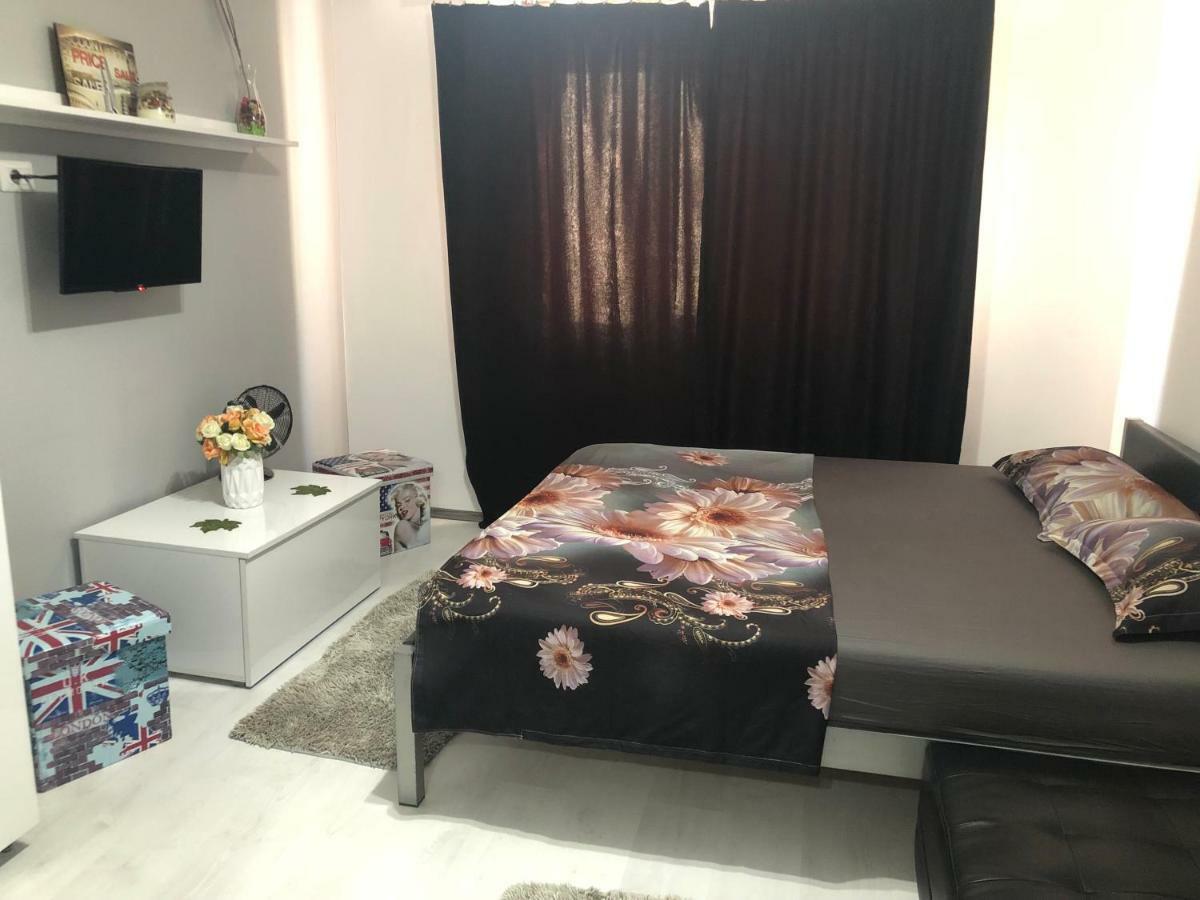 Garsoniera Aleea Trandafirilor Apartment Baile Herculane Bagian luar foto