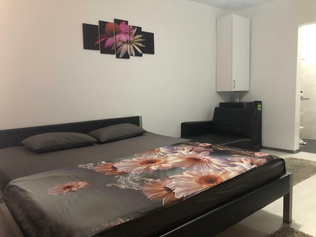 Garsoniera Aleea Trandafirilor Apartment Baile Herculane Bagian luar foto