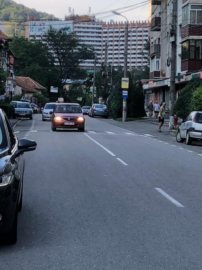 Garsoniera Aleea Trandafirilor Apartment Baile Herculane Bagian luar foto