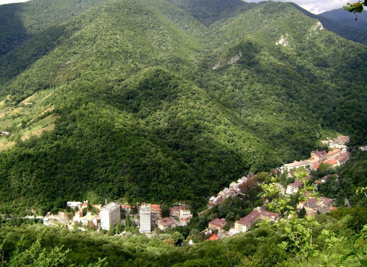 Garsoniera Aleea Trandafirilor Apartment Baile Herculane Bagian luar foto