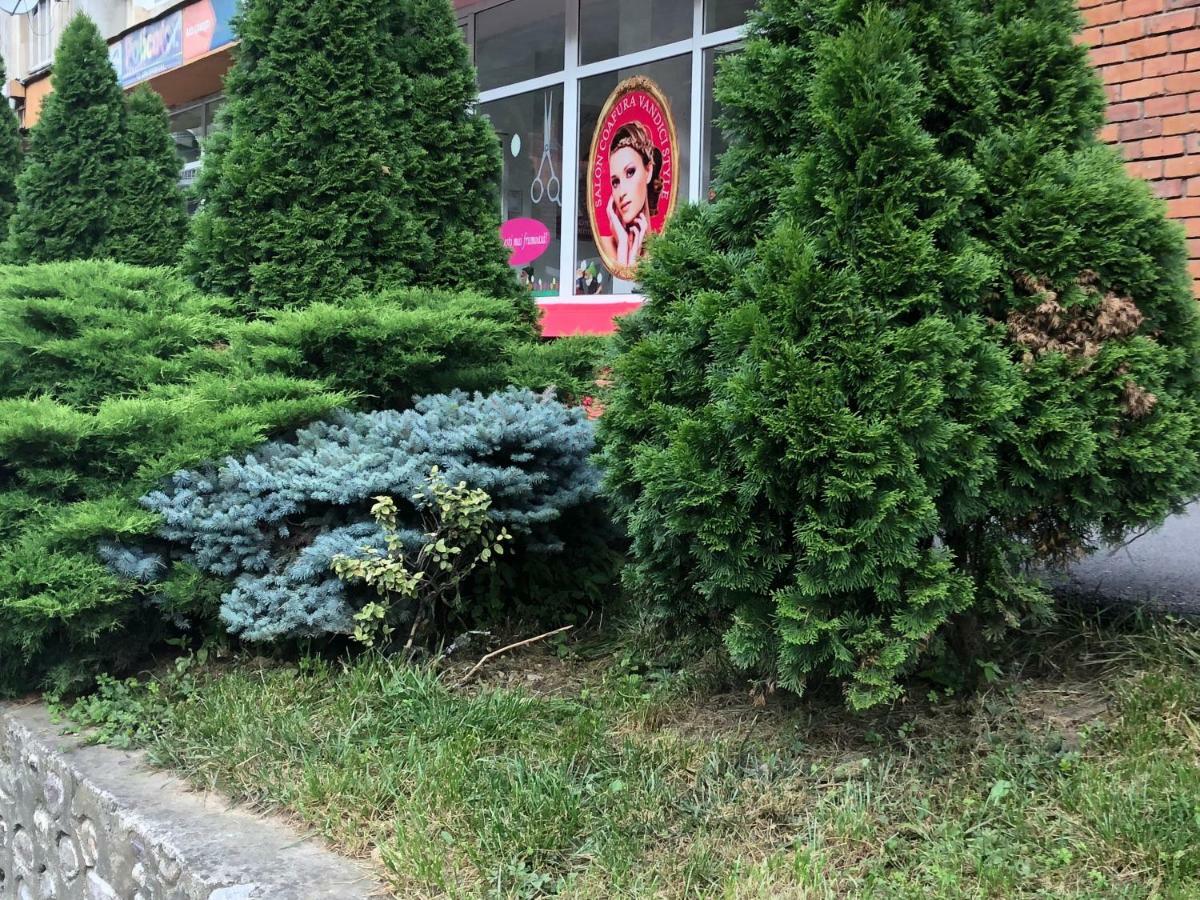 Garsoniera Aleea Trandafirilor Apartment Baile Herculane Bagian luar foto